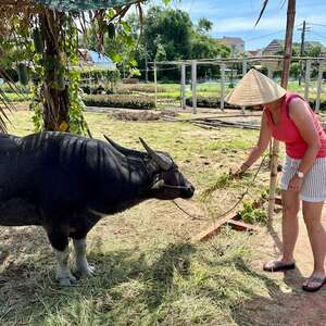 Familie Bulder, Vietnam augustus 2025